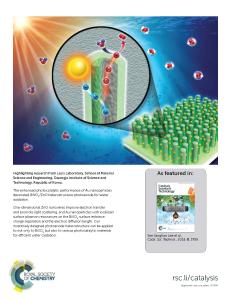 49. Plasmonic Gold Nanoparticles-Decorated BiVO4/ZnO Nanowire Heterostructure Photoanodes for Efficient Water Oxidation (Selected as back cover & press release)