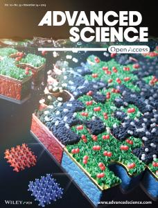 93. Organometal Halide Perovskite-Based Photoelectrochemical Module Systems for Scalable Unassisted Solar Water Splitting (Press release & selected as a front cover)